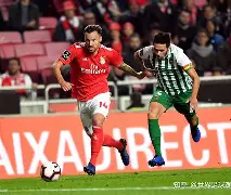 关于赛地聚焦——葡超国际比赛日热度飙升;皇家马德里豪取连胜;媒体盛赞;更衣室氛围转暖的信息 关于赛地聚焦——葡超国际比赛日热度飙升;皇家马德里豪取连胜;媒体盛赞;更衣室氛围转暖的信息