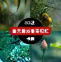 利物浦训练开放日，清晨复出首秀引欢呼，全明星赛在即，纪律约束更严格(训练讲评简短精辟)