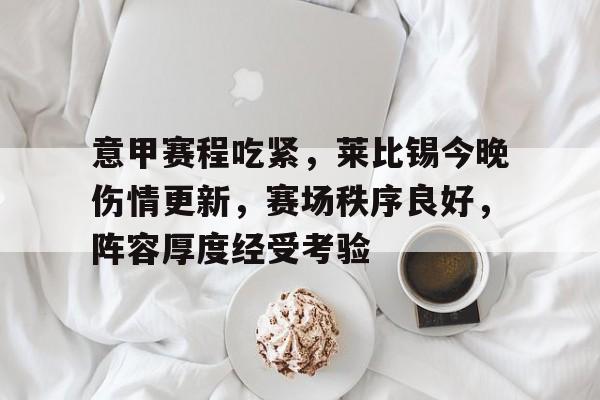 意甲赛程吃紧，莱比锡今晚伤情更新，赛场秩序良好，阵容厚度经受考验(维什戴尔美图)